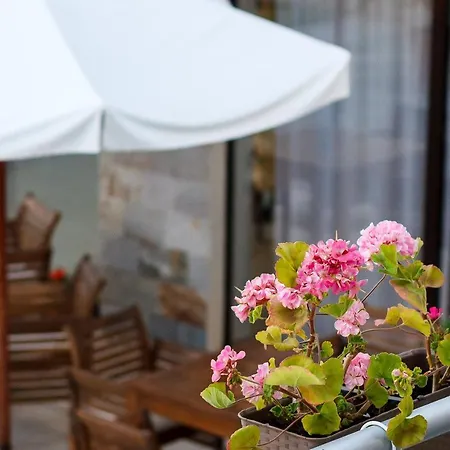 New Line Village Apartament