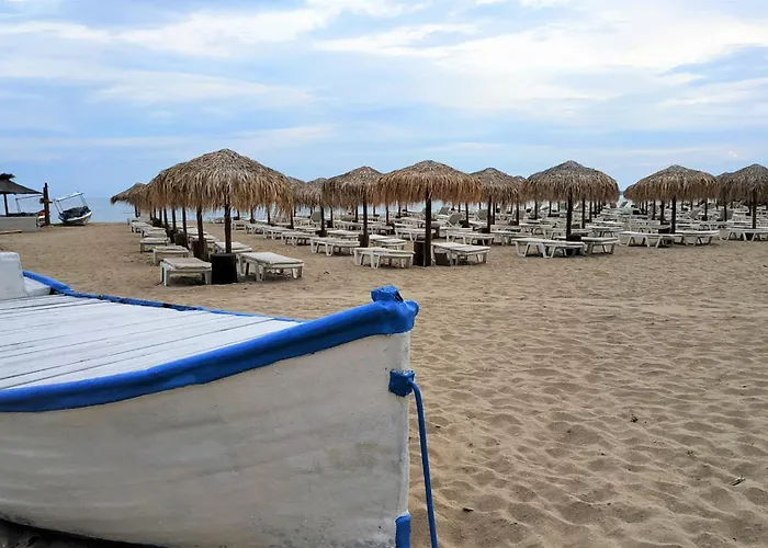 New Line Village * Sunny Beach