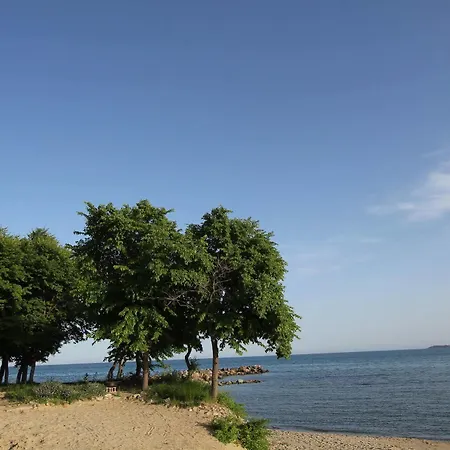New Line Village * 阳光海滩